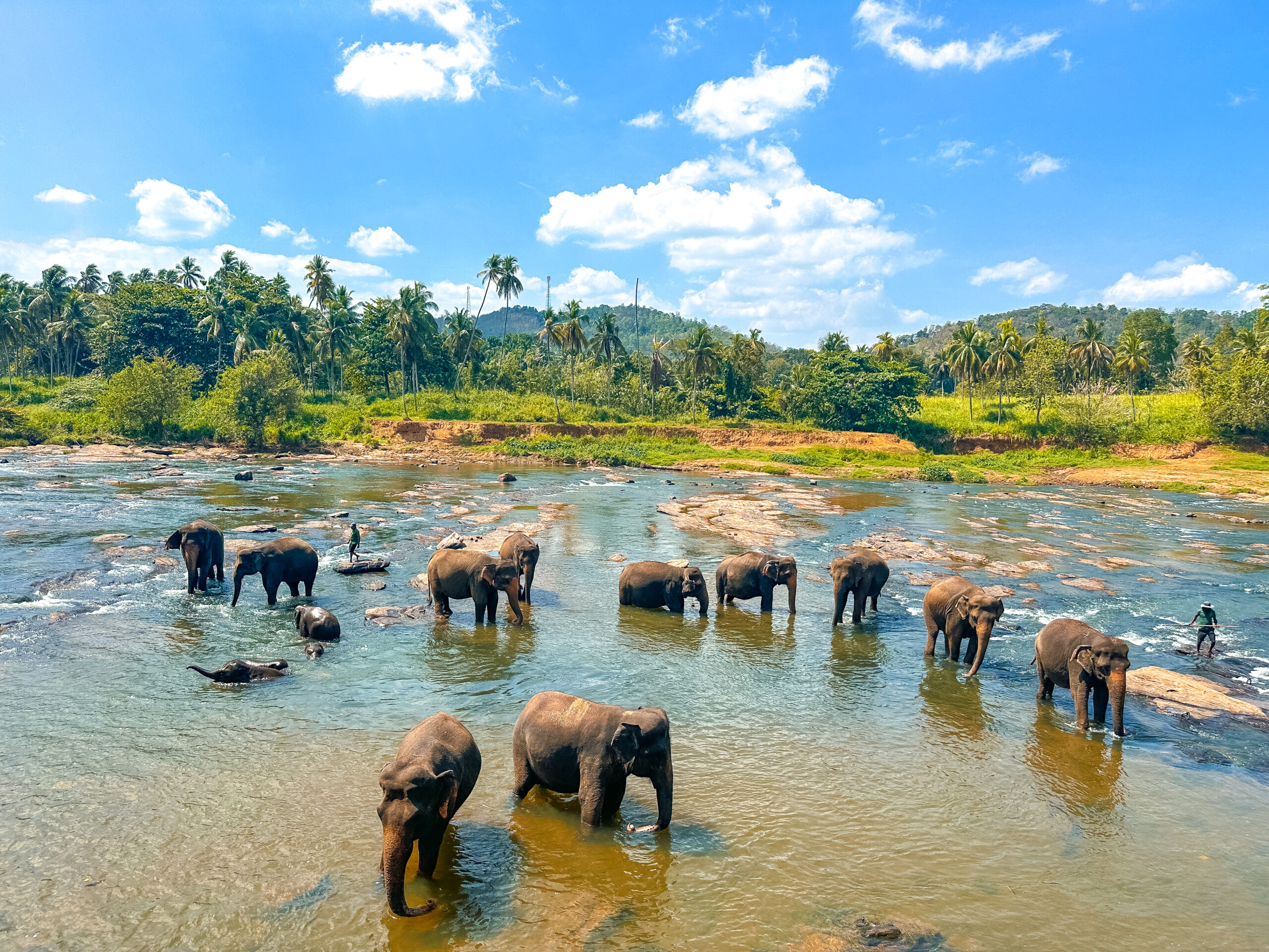 25-Day Sri Lanka Tour private Sri Lanka tour